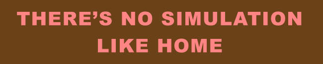 There's No Simulation Like Home