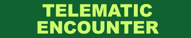 Telematic Encounter