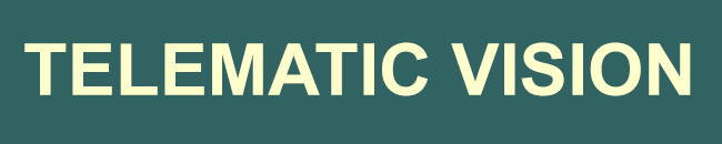 Telematic Vision